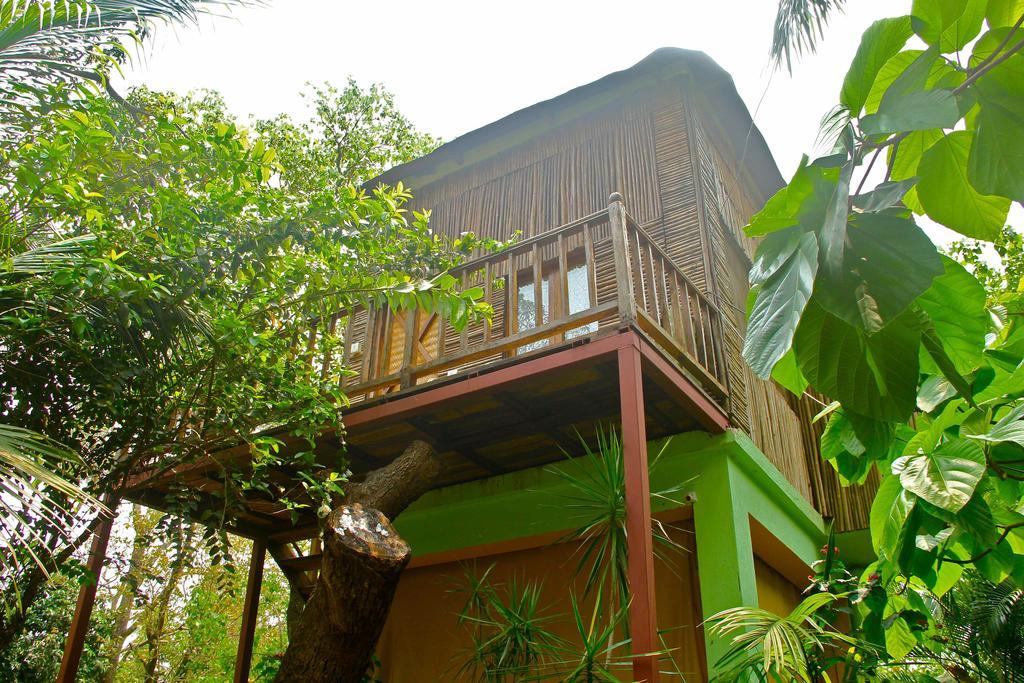 Michele'S Garden Bed & Breakfast อันจูนา ห้อง รูปภาพ