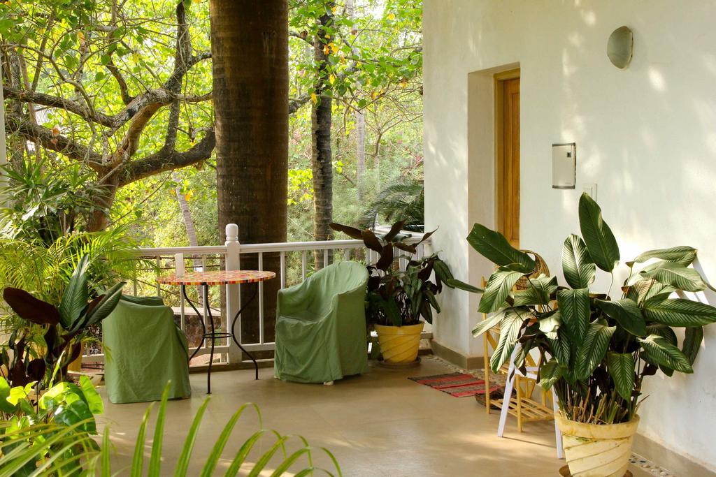 Michele'S Garden Bed & Breakfast อันจูนา ห้อง รูปภาพ
