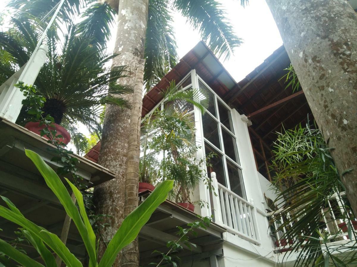 Michele'S Garden Bed & Breakfast อันจูนา ภายนอก รูปภาพ