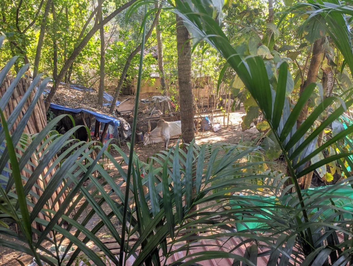 Michele'S Garden Bed & Breakfast อันจูนา ภายนอก รูปภาพ